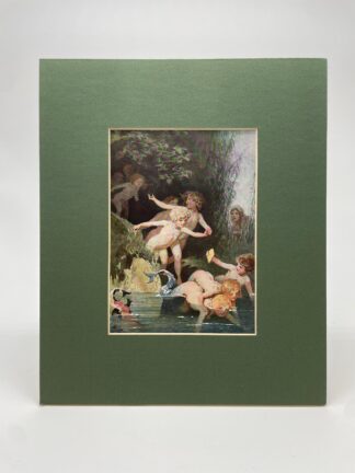 Vintage Druck Buchseite „Die Schilfinsel“ Ul. Zick #689