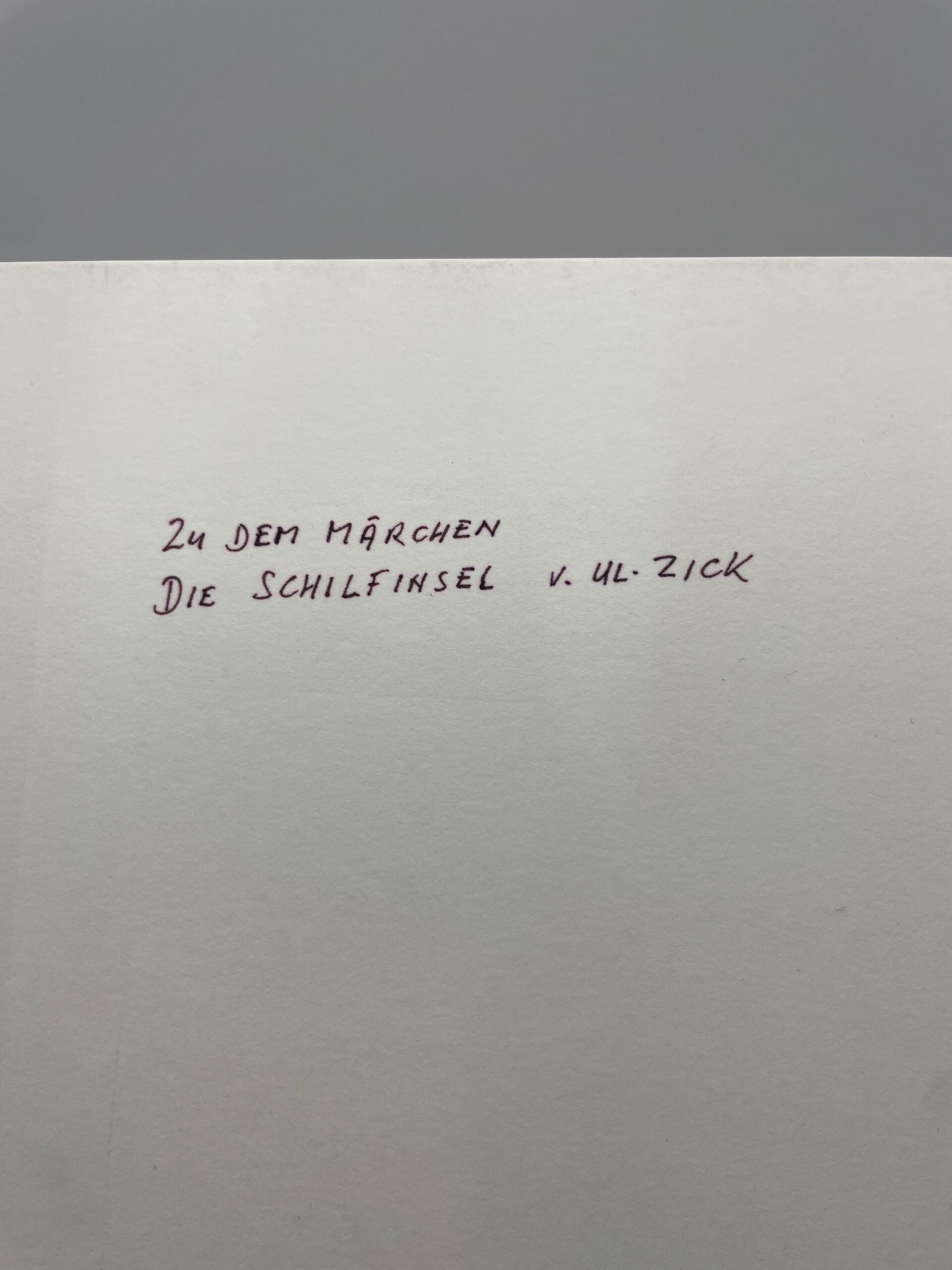 Vintage Druck Buchseite „Die Schilfinsel“ Ul. Zick #689 – Bild 5