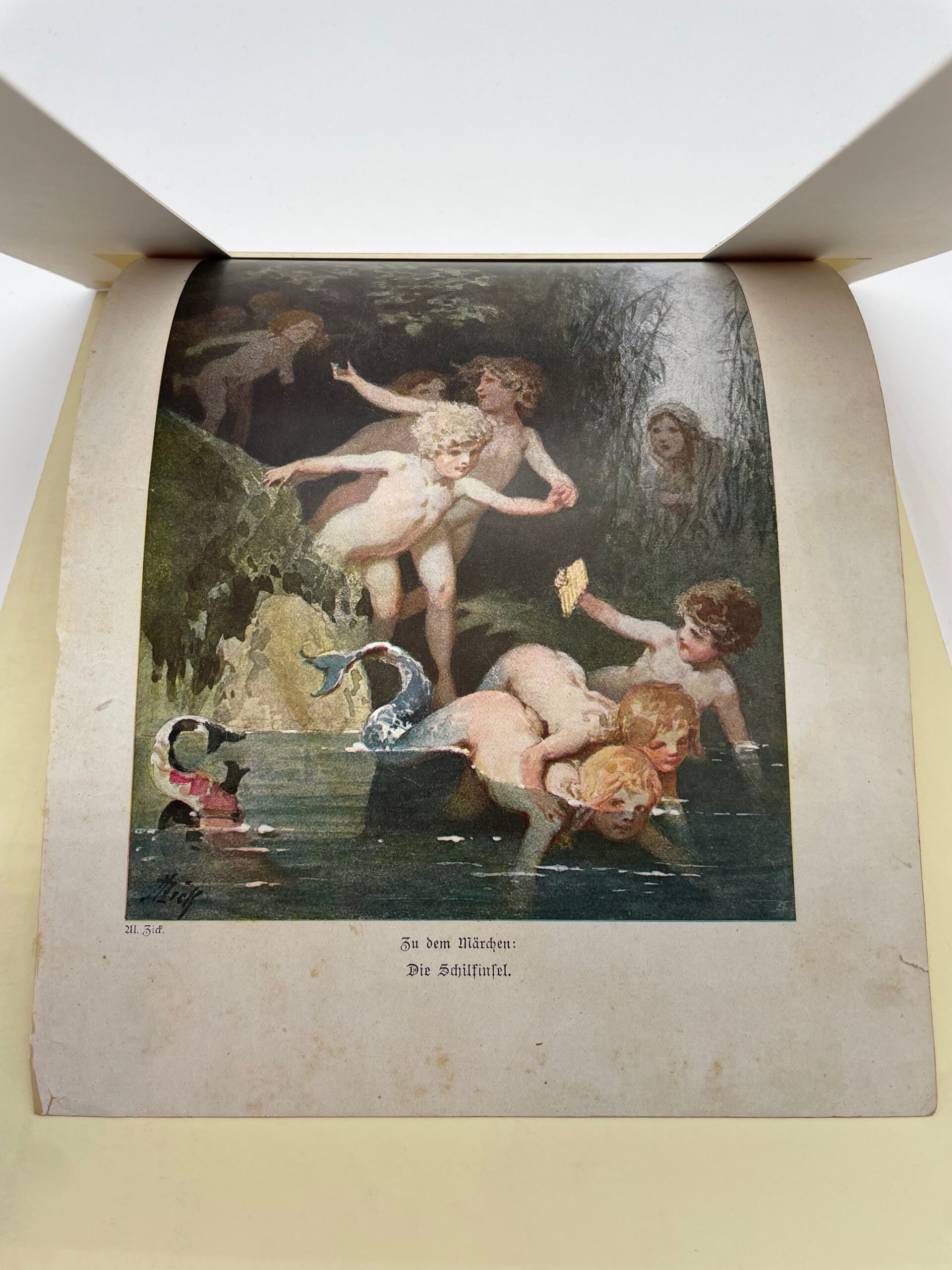 Vintage Druck Buchseite „Die Schilfinsel“ Ul. Zick #689 – Bild 6